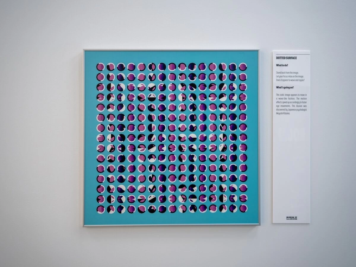 images exhibits gallery1 moi houston 1200×900 (1)
